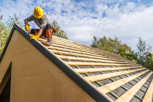 Roof Waterproofing Services in Deltana, AK