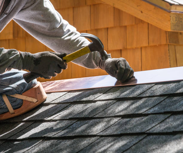 Best Roof Gutter Cleaning  in Deltana, AK